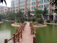 ̫�O������^