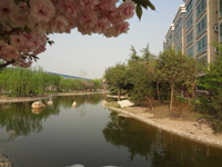 ̫�O������^