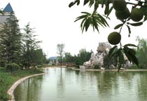 ������^һ��