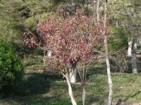 ̫�O�²����O�乫˾���쾰ɫ