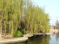 ̫�O��@��ɫ��̫�O�²����O�乫˾