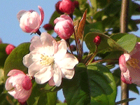 ̫�O��@��ɫ��̫�O�²����O�乫˾