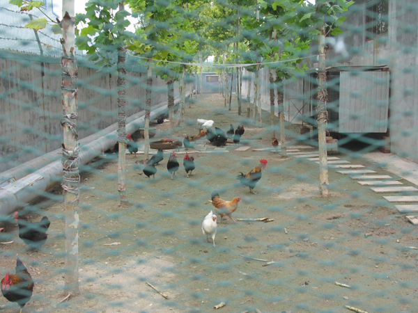 ̫�O�²����O�乫˾